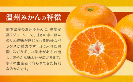 温州みかん 約3kg 日本フルーツ株式会社 熊本県 長洲町 《11月上旬～12月上頃に出荷予定（土日祝除く）》 果物 秀品 フルーツ スイーツ デザート ギフト ご贈答