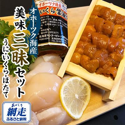 ふるさと納税 網走市 オホーツク美味三昧セット (うに・いくら・ほたて)