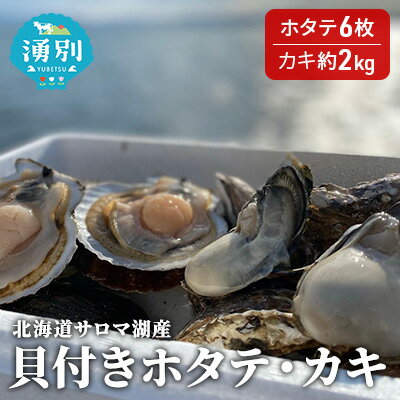 【ふるさと納税】【国内消費拡大求む】北海道サロマ湖産　貝付きホタテ6枚・カキ約2kg 魚貝類 帆立 ほたて 魚介類 　お届け：2026年11月～2027年1月末頃まで