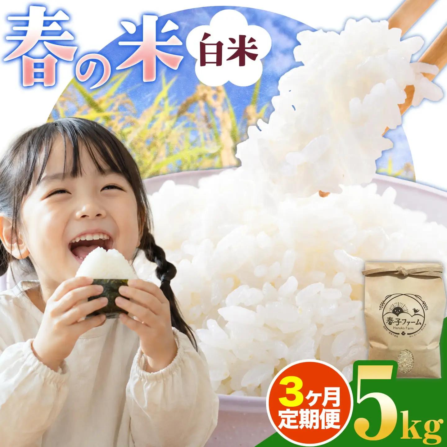 米 春の米 白米 5kg 3ヶ月 定期便 春子ファーム 米