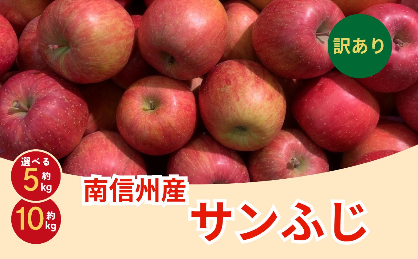 
                  訳あり品 長野県産 サンふじ 選べる 容量 ＜2027年1月上旬～2月上旬発送＞ | 果物 くだもの フルーツ 訳あり サンふじ サンフジ りんご リンゴ 林檎 長野県 信州 南信州 飯田市
                