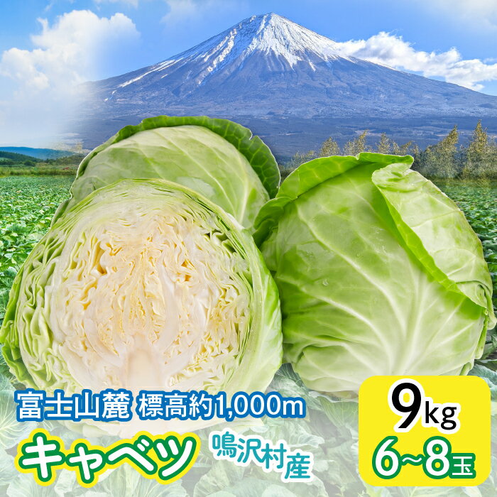 【ふるさと納税】 ＜2026年発送＞キャベツ　9kg　（6～8玉）ふるさと納税 キャベツ 新鮮 美味しい シャキシャキ 野菜 山梨県 鳴沢村 送料無料 NSAK005