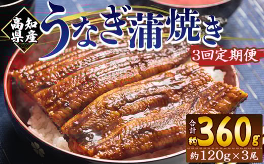 国産 うなぎ 定期便 100g～120g 3尾 3回 蒲焼き 高知県産 養殖 魚介 国産 海鮮 魚 かばやき 鰻 ウナギ 惣菜 おかず お手軽 加工品 加工食品 冷凍 Wfb-0042