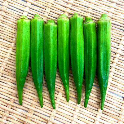 ふるさと納税 田野町 ≪先行受付≫【四国一小さなまちのオクラ】黒岩さん家のオクラ 10袋 |  | 03