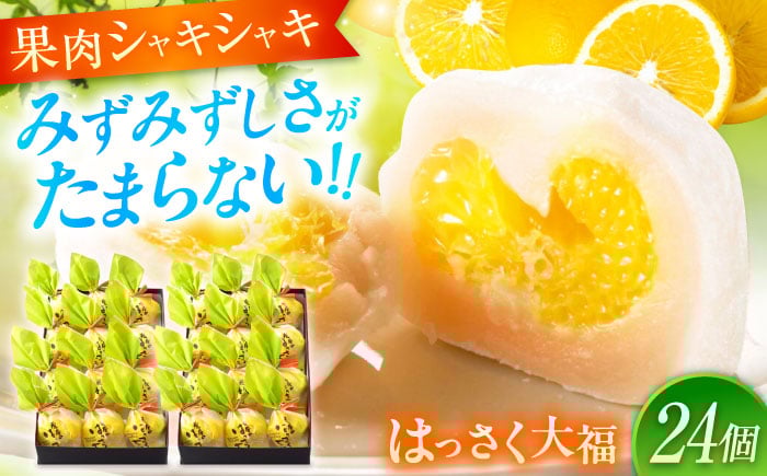 
            【ふるさと納税】お菓子 はっさく大福12個入×2　 お菓子 大福 八朔 柑橘 みかん オレンジ 餅 ギフト お取り寄せ スイーツ フルーツ大福 ご当地 菓子 おかし デザート 食品 人気 おすすめ 広島県福山市/株式会社虎屋本舗[BADH017]
          