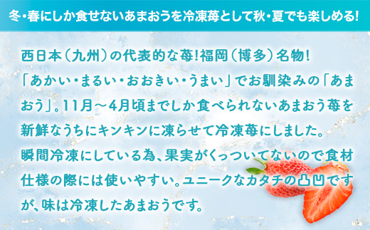 福岡産冷凍あまおう500g×3袋　2024年12月中旬以降順次発送  AX029