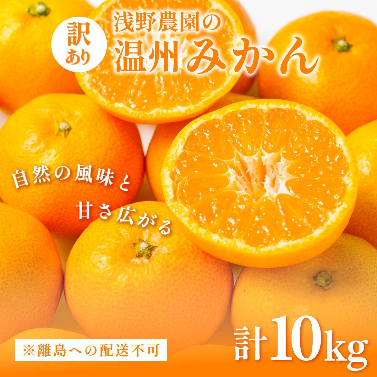 
            【先行予約】浅野農園の温州みかん 訳あり10kg ※離島への配送不可（2025年12月上旬～12月中旬頃に順次発送予定） 【 ふるさと納税 人気 おすすめ ランキング みかん 柑橘 ミカン 蜜柑 mikan 果物 フルーツ オレンジ 温州 訳あり 10kg  愛媛県 伊方町 送料無料 】IKTAC005
          