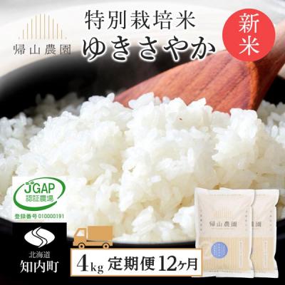ふるさと納税 知内町 【令和8年産新米先行受付】【12カ月定期便】特別栽培米産地直送ゆきさやか2kg×2個 箱入