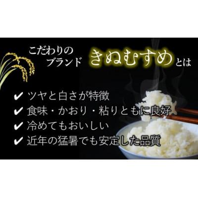 ふるさと納税 西脇市 兵庫県産【きぬむすめ】令和7年産・白米　10kg(10kg×1袋) |  | 01