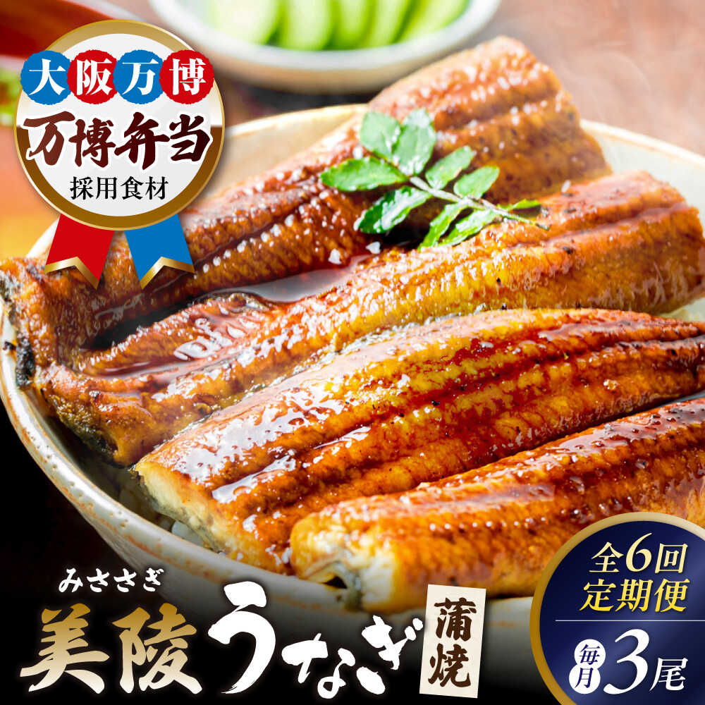 【ふるさと納税】【全6回定期便】鰻 鰻の蒲焼 3尾 / 美陵鰻 うなぎ ウナギ 蒲焼き かば焼き かばやき 白焼き 白焼 しろやき しらやき 特大 肉厚 うな重 うな丼 惣菜 ギフト プレゼント 贈答 国産 / 大阪府藤井寺市/Giverichホールディングス株式会社[BLAM011]