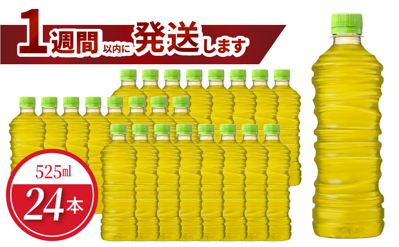 
綾鷹 525ml PET ラベルレス（24本入）
