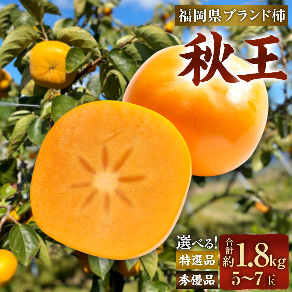 【ふるさと納税】＜選べる 種類＞福岡県ブランド柿 秋王 5-7玉 約1.8kg 特選品（化粧箱入り） または 秀優品 種無し 【2025年11月上旬-12月上旬発送予定】 柿 種なし 福岡県産 九州産 国産 果物 フルーツ くだもの 旬 冷蔵 福岡県 大任町 送料無料