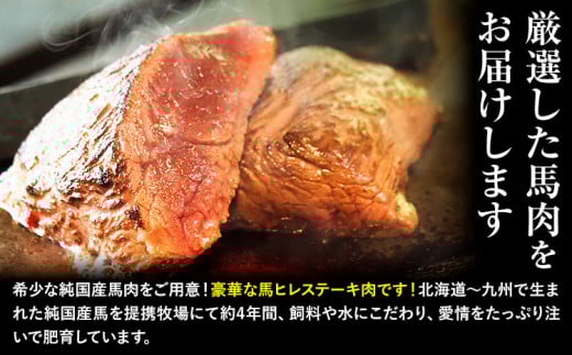 馬肉 ステーキ ウマウマ 純国産 馬 ヒレ ステーキ 200g 有限会社九州食肉産業《90日以内に出荷予定(土日祝除く)》熊本県 産山村 純国産 国産 熊本肥育 馬肉 馬ヒレ 馬ヒレステーキ 絶品 ヘ