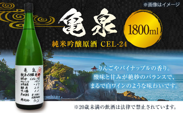 亀泉 純米吟醸原酒CEl-24 1800ml 1本 /日本酒 地酒 高知 四国 酒 【近藤酒店】 [ATAB151]