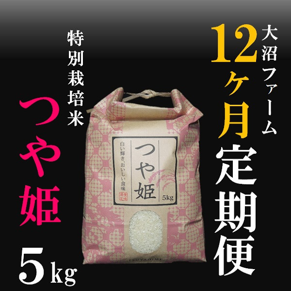 
                  10月スタート【定期便12回】大沼ファームの特別栽培米つや姫5kg
                