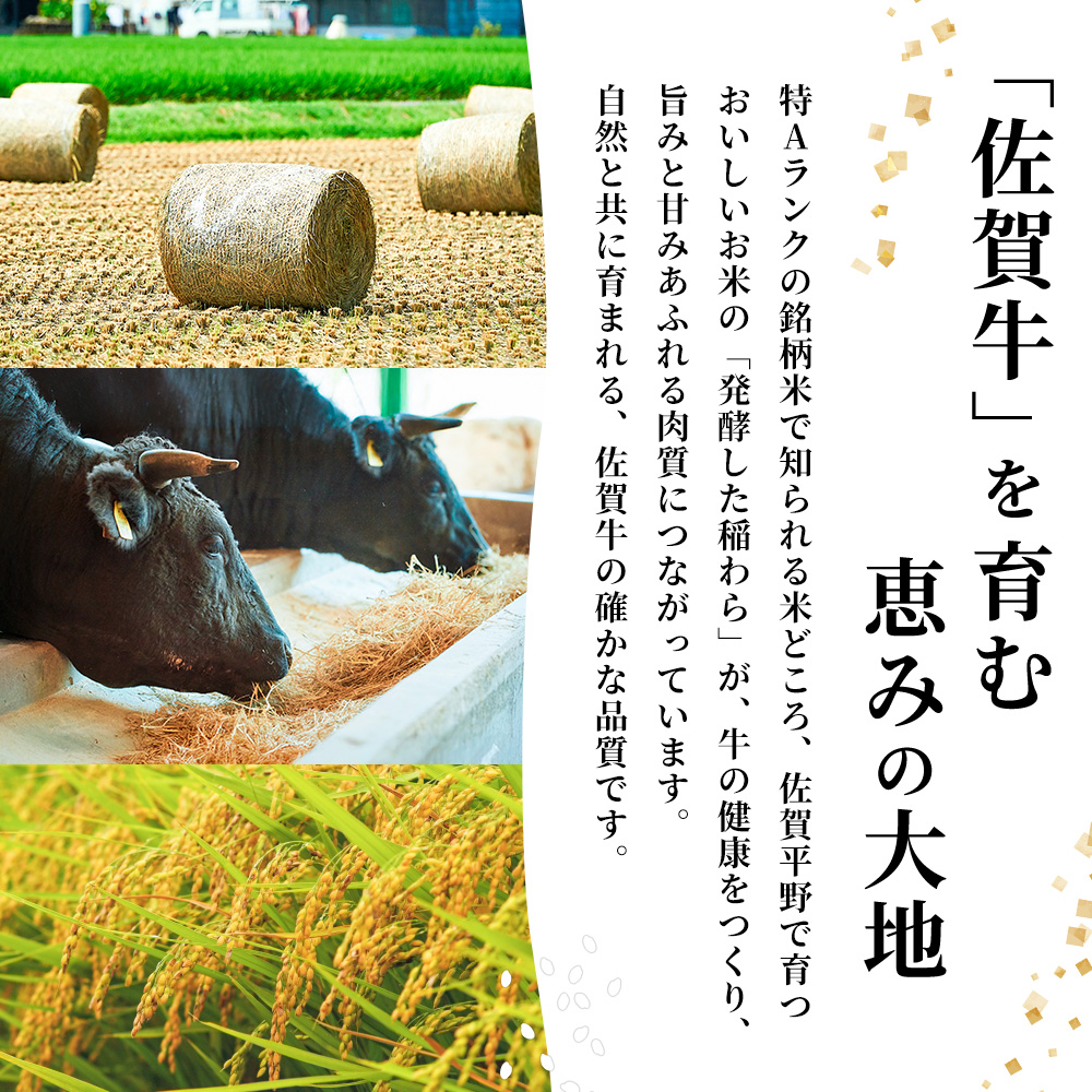 佐賀牛 すきやき用1200g【佐賀牛 霜降り 赤身 すきやき】(H122144)