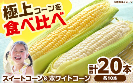 とうもろこし 食べ比べセット[AOCS030] とうもろこし とうもろこし とうもろこし とうもろこし とうもろこし とうもろこし