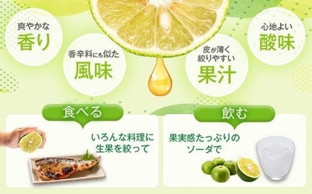 【A20008】先行受付！2025年9月中旬以降発送！辺塚だいだい 青果 (10kg) 鹿児島 国産 橙 だいだい 柑橘 かんきつ 果物 フルーツ 贈答 ギフト【NPO法人 陸の宝島・岸良】