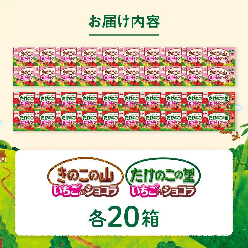 きのこの山 たけのこの里 いちご＆ショコラ 各20箱[AOAA068]ショコラ