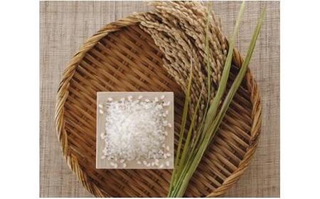 米 ミルキークイーン 鳥取県産 5kg