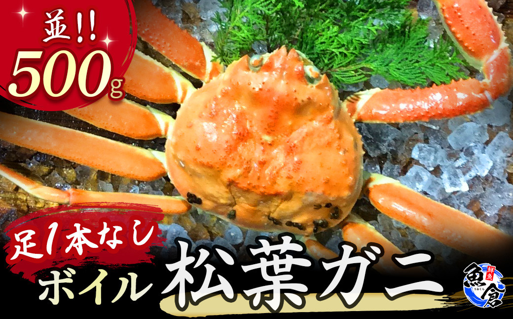 【魚倉】足１本なしボイル松葉ガニ（並５００ｇ）
