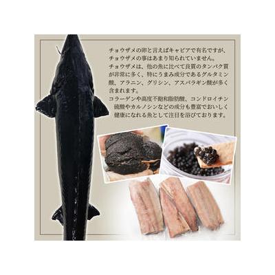 ふるさと納税 椎葉村 【宮崎県 椎葉産】キャビアフィッシュフィレ 1尾【800g〜1.2Kg】 チョウザメ フィレ肉 |  | 02