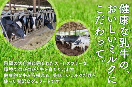 飛騨のジェラート ソルベ 6個入り詰め合わせ 野菜 スイーツ ヘルシー アイス アイスクリーム ギフト プレゼント 誕生日祝い 国産野菜 カカポ[Q773]