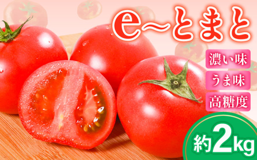 【 先行予約 】 トマト 約2kg 中玉 高糖度 eトマト フルーツトマト 健康 野菜 サラダ ダイエット スープ e~とまと フルーツ 果物 のような甘さ 低農薬栽培 ビタミンC リコピン とまと トマト トマトジュース 野菜 やさい 新鮮 産地直送 美容 美肌 濃厚 先行予約 大阪府 松原市