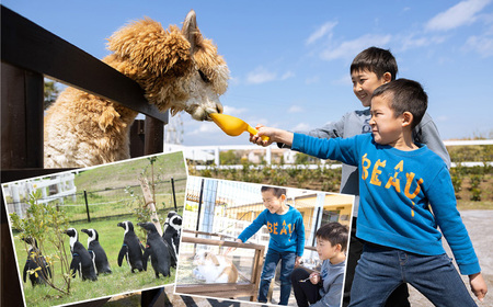 ソレイユの丘 回数券 350円分×36枚＋駐車場無料券1台分【株式会社日比谷花壇】 [AKBO003]