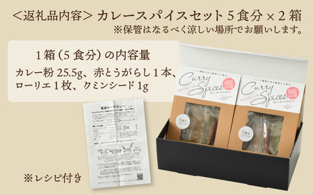 ハーブ講師が作る 教室で人気のカレースパイスセット （5食分 × 2箱） 【アレルゲンフリー】 【スパイス スパイスカレー スパイスセット カレーパウダー おうちカレー カレー粉 香辛料 セット 手作
