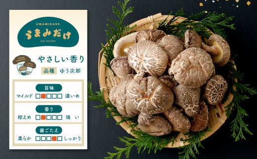 進物 どんこ 220g 干ししいたけ 椎茸 うまみだけ