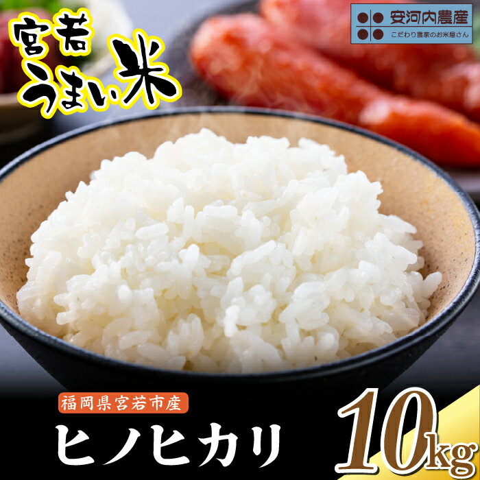 【ふるさと納税】〈安河内農産〉令和7年産 【先行予約】ヒノヒカリ 10kg(5kg×2袋)【10月下旬より順次発送】福岡県宮若産 [M791-1] 新米 宮若うまい米 精米 ブランド米 コメ ご飯 白米