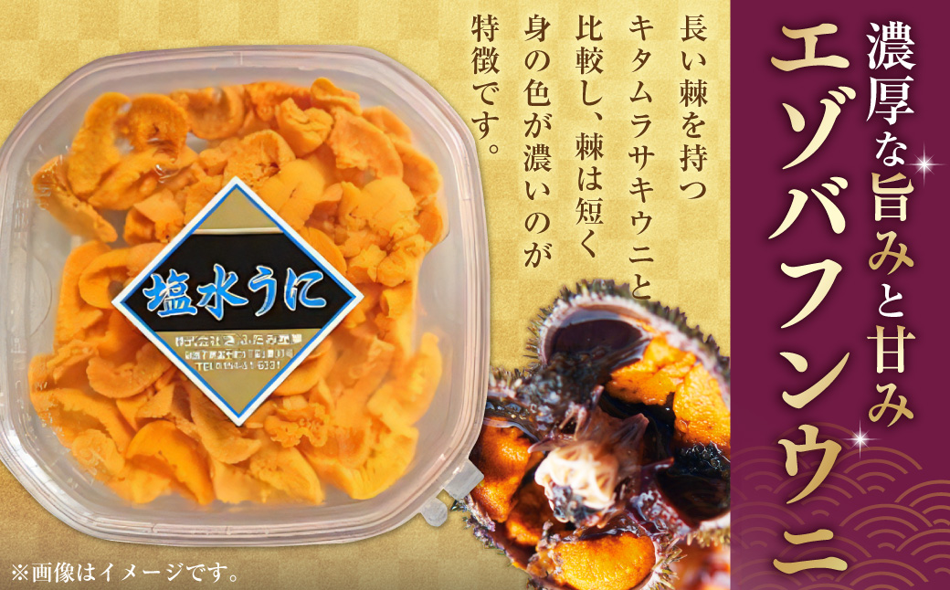 【鮮度抜群！特選・極上えぞバフンうに【黄】】塩水詰め100g×2個 ふるさと納税 うに