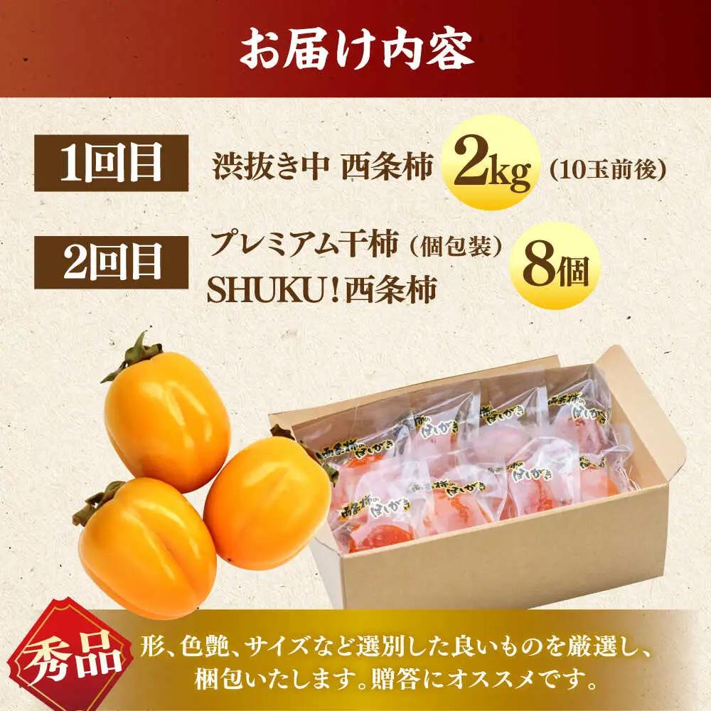 フルーツ 【先行予約】【10個限定】【全2回定期便】柿のご褒美セット！ 合わせ柿 2kg 干柿SHUKU8玉  島根県松江市/マルカミ農縁株式会社 [ALCM018] フルーツ フルーツ