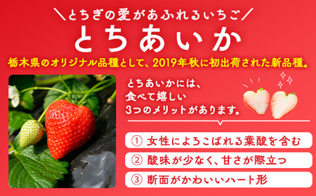 いちご とちあいか 極 9粒 ※2026年12月～発送