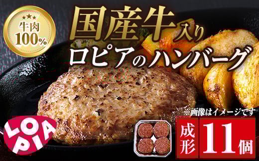 
            ロピア 牛肉100％ 国産牛入りハンバーグ (成形140g×11個) 春日市限定 牛肉 味付け肉 下味付き ロピア LOPIA 味付け 惣菜 おかず 冷凍 焼くだけ タネ ＜離島配送不可＞【ksg1866】【ロピア】
          