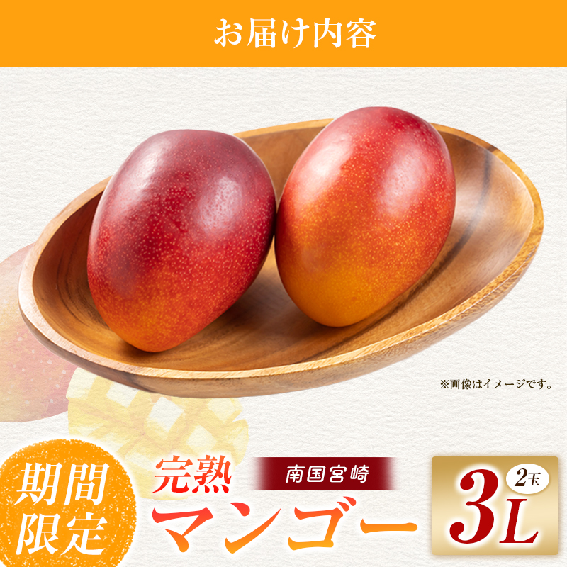 完熟マンゴー 3L×2玉（フルーツ マンゴー 完熟マンゴー アップルマンゴー 果物 くだもの  2026 令和8年 宮崎）