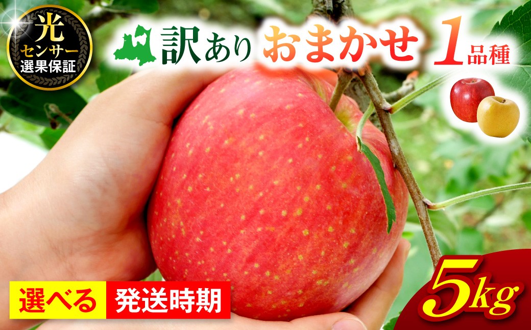 
                  【選べる配送時期】 【訳あり】 旬の美味しい りんご 約5kg 青森県産 【おまかせ1品種】
                