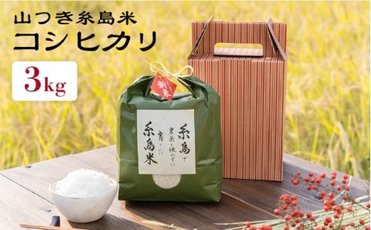 【令和7年産新米】糸島 で 農薬 を使わずに育てた 山つき 糸島米 3kg （ コシヒカリ ）《 糸島 》【株式会社やました】 [ARJ009]