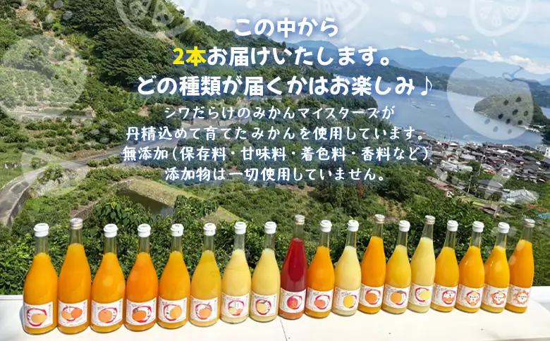 ＜一歩会 ジュエリーボックス ジュース飲み比べセット 720ml×2本入り 6回定期便＞『お申込み月の翌月より配送を開始』果汁100%ストレートジュース 愛媛 みかん ミカン 柑橘 果物 フルーツ 特