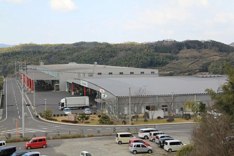 M90-0016_【ふるさと納税】LD-212 大人用 からだふき（70枚）×30パック 日用品