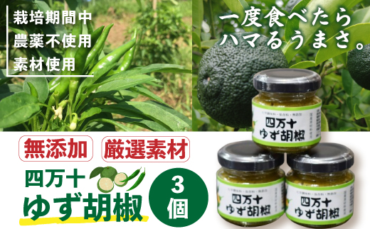 26-168．四万十ゆず胡椒3個セット