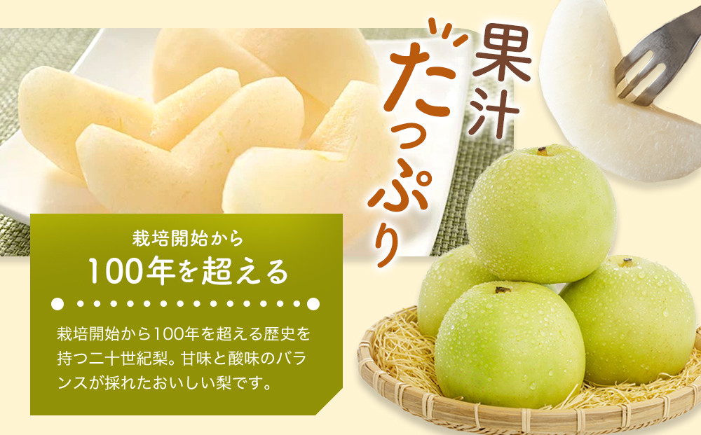 609.【先行予約】【贈答用】 二十世紀梨 5kg前後 (10個～14個前後) 鳥取県産 梨 なし※着日指定不可※2026年8月下旬～9月中旬頃に順次発送予定