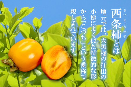 A-758 とびっきり甘い西条柿 2.5kg