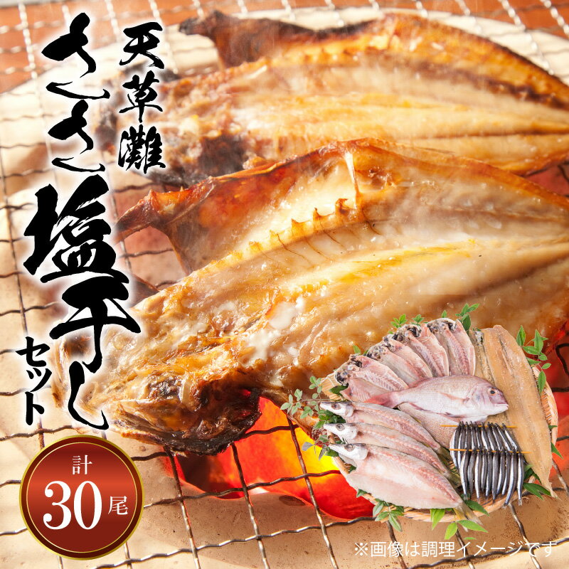 【ふるさと納税】天草灘 ささ塩干し セット 天然鯛ささ塩干し あじささ塩干し カマスささ塩干し 太刀魚味醂干し キビナゴ丸干し 干物 熊笹 エキス ブレンド ささ塩 使用 熊本県 天草市 アマレイ お取り寄せ 送料無料