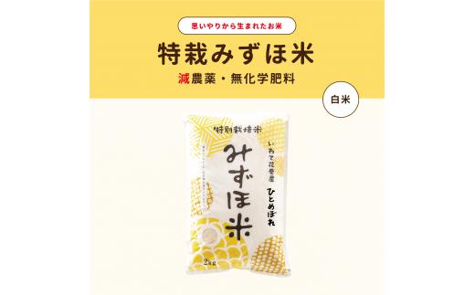 特別栽培みずほ米 ひとめぼれ 白米 2kg 【1749】