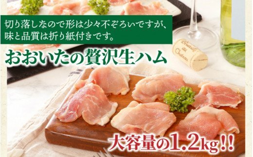 おおいたの贅沢生ハムを大容量の1.2kg‼_0245N