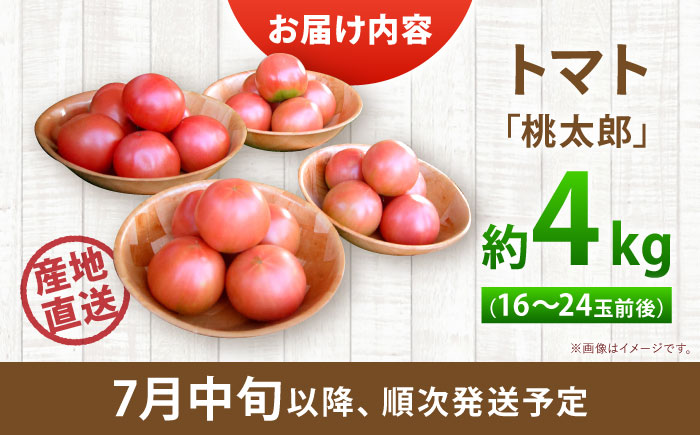 トマト 4kg | 野菜 トマト とまと やさい 北海道 産地直送 先行予約 | 道の駅 真狩フラワーセンター [BPAM078]