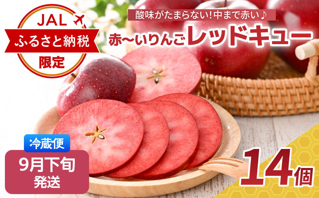 【JALふるさと納税限定】【2026年9月下旬発送】 果肉まで赤い りんご レッドキュー 約2kg（14個） 青森県 五所川原市【 リンゴ 林檎 果物 レア品種 】