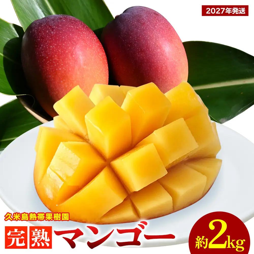 【2027年発送】久米島熱帯果樹園 完熟マンゴー 約2kg（3～5玉）